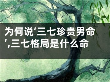 为何说‘三七珍贵男命’,三七格局是什么命