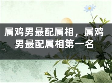 属鸡男最配属相，属鸡男最配属相第一名