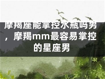摩羯座能掌控水瓶吗男，摩羯mm最容易掌控的星座男