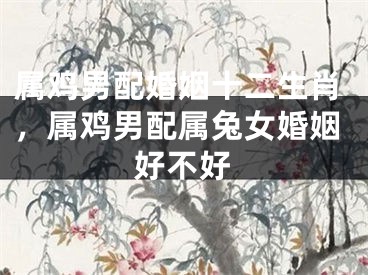 属鸡男配婚姻十二生肖，属鸡男配属兔女婚姻好不好