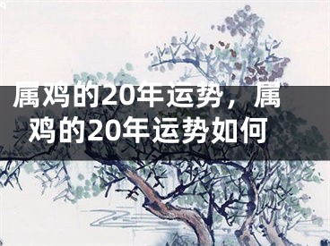 属鸡的20年运势，属鸡的20年运势如何