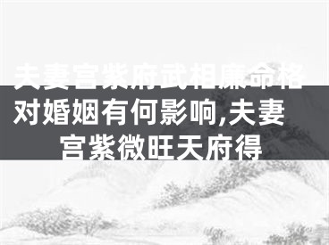 夫妻宫紫府武相廉命格对婚姻有何影响,夫妻宫紫微旺天府得