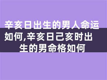 辛亥日出生的男人命运如何,辛亥日己亥时出生的男命格如何