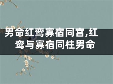 男命红鸾寡宿同宫,红鸾与寡宿同柱男命