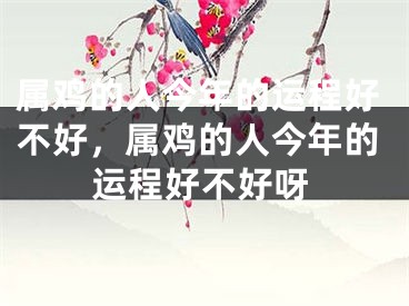 属鸡的人今年的运程好不好，属鸡的人今年的运程好不好呀