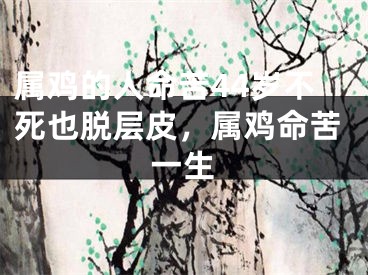 属鸡的人命苦44岁不死也脱层皮，属鸡命苦一生