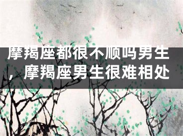 摩羯座都很不顺吗男生，摩羯座男生很难相处