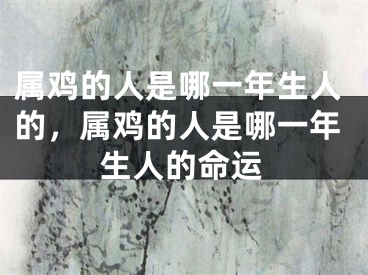 属鸡的人是哪一年生人的，属鸡的人是哪一年生人的命运