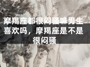 摩羯座都很闷骚嘛男生喜欢吗，摩羯座是不是很闷骚