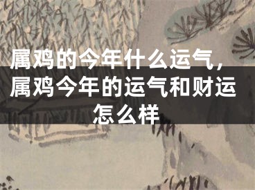 属鸡的今年什么运气，属鸡今年的运气和财运怎么样