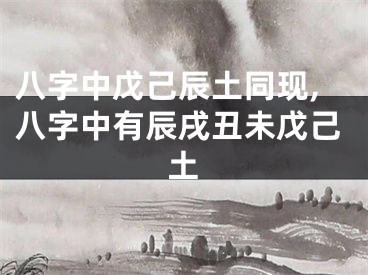 八字中戊己辰土同现,八字中有辰戌丑未戊己土