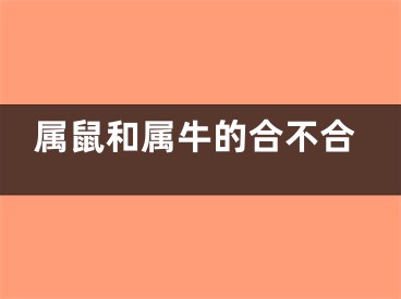 属鼠和属牛的合不合