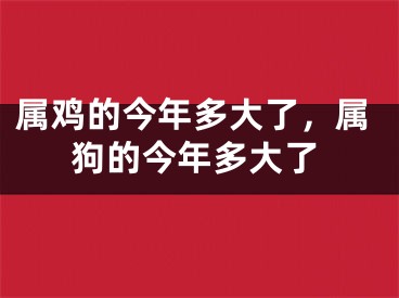 属鸡的今年多大了，属狗的今年多大了