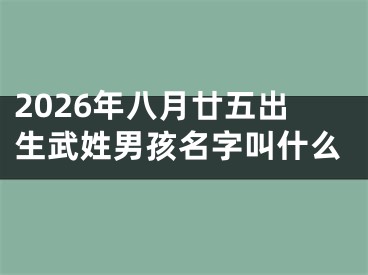 2026年八月廿五出生武姓男孩名字叫什么