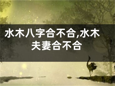 水木八字合不合,水木夫妻合不合