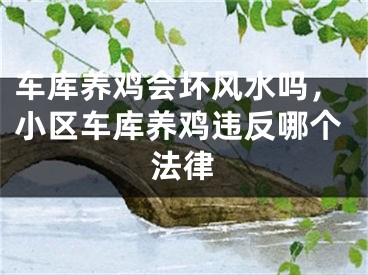 车库养鸡会坏风水吗，小区车库养鸡违反哪个法律