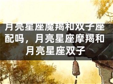 月亮星座魔羯和双子座配吗，月亮星座摩羯和月亮星座双子