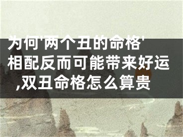 为何'两个丑的命格'相配反而可能带来好运,双丑命格怎么算贵