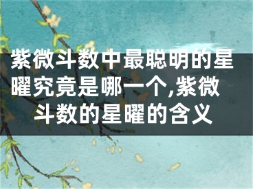 紫微斗数中最聪明的星曜究竟是哪一个,紫微斗数的星曜的含义
