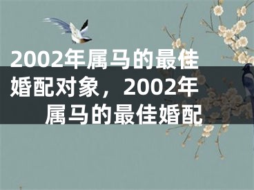 2002年属马的最佳婚配对象，2002年属马的最佳婚配