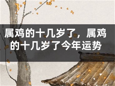 属鸡的十几岁了，属鸡的十几岁了今年运势