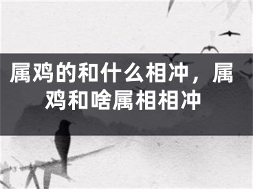 属鸡的和什么相冲，属鸡和啥属相相冲