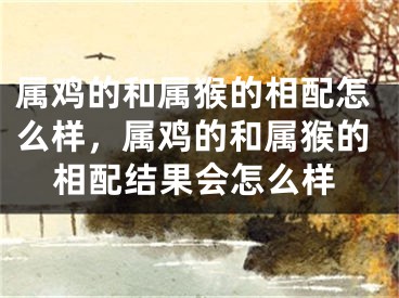 属鸡的和属猴的相配怎么样，属鸡的和属猴的相配结果会怎么样