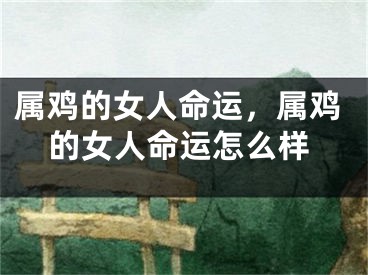 属鸡的女人命运，属鸡的女人命运怎么样