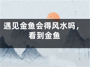 遇见金鱼会得风水吗，看到金鱼