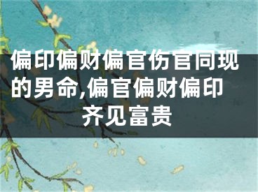 偏印偏财偏官伤官同现的男命,偏官偏财偏印齐见富贵