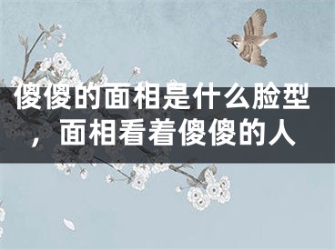 傻傻的面相是什么脸型，面相看着傻傻的人