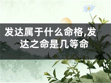 发达属于什么命格,发达之命是几等命