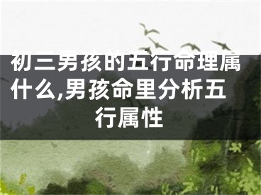 初三男孩的五行命理属什么,男孩命里分析五行属性