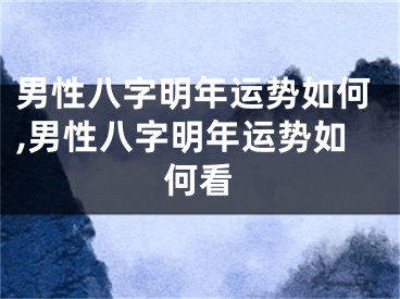 男性八字明年运势如何,男性八字明年运势如何看