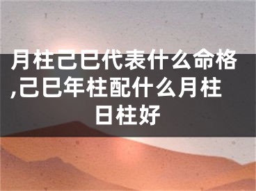 月柱己巳代表什么命格,己巳年柱配什么月柱日柱好