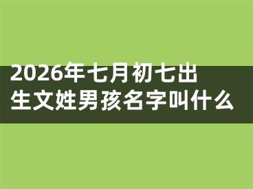 2026年七月初七出生文姓男孩名字叫什么