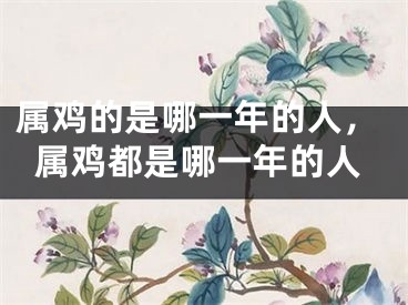 属鸡的是哪一年的人，属鸡都是哪一年的人