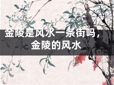 金陵是风水一条街吗，金陵的风水