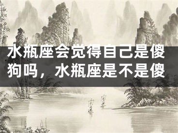 水瓶座会觉得自己是傻狗吗，水瓶座是不是傻
