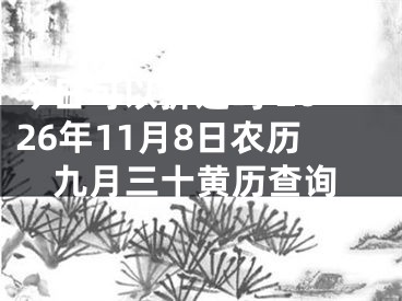 今日可以拆迁吗 2026年11月8日农历九月三十黄历查询