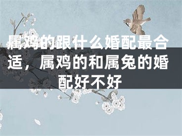 属鸡的跟什么婚配最合适，属鸡的和属兔的婚配好不好