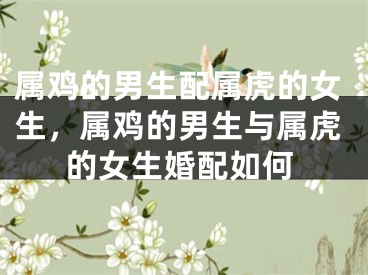 属鸡的男生配属虎的女生，属鸡的男生与属虎的女生婚配如何