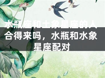水瓶座和土象星座的人合得来吗，水瓶和水象星座配对