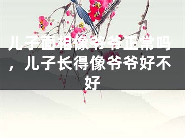 儿子面相像爷爷正常吗，儿子长得像爷爷好不好