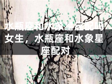 水瓶座和水象星座配吗女生，水瓶座和水象星座配对