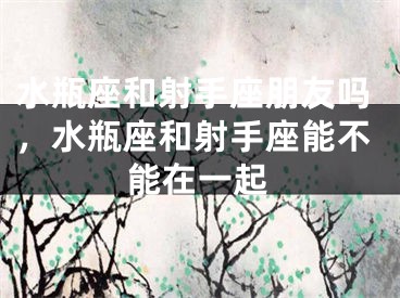 水瓶座和射手座朋友吗，水瓶座和射手座能不能在一起