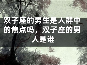 双子座的男生是人群中的焦点吗，双子座的男人是谁