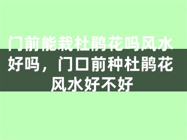 门前能栽杜鹃花吗风水好吗,门口前种杜鹃花风水好不好