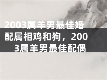 2003属羊男最佳婚配属相鸡和狗，2003属羊男最佳配偶