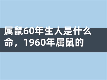 属鼠60年生人是什么命，1960年属鼠的